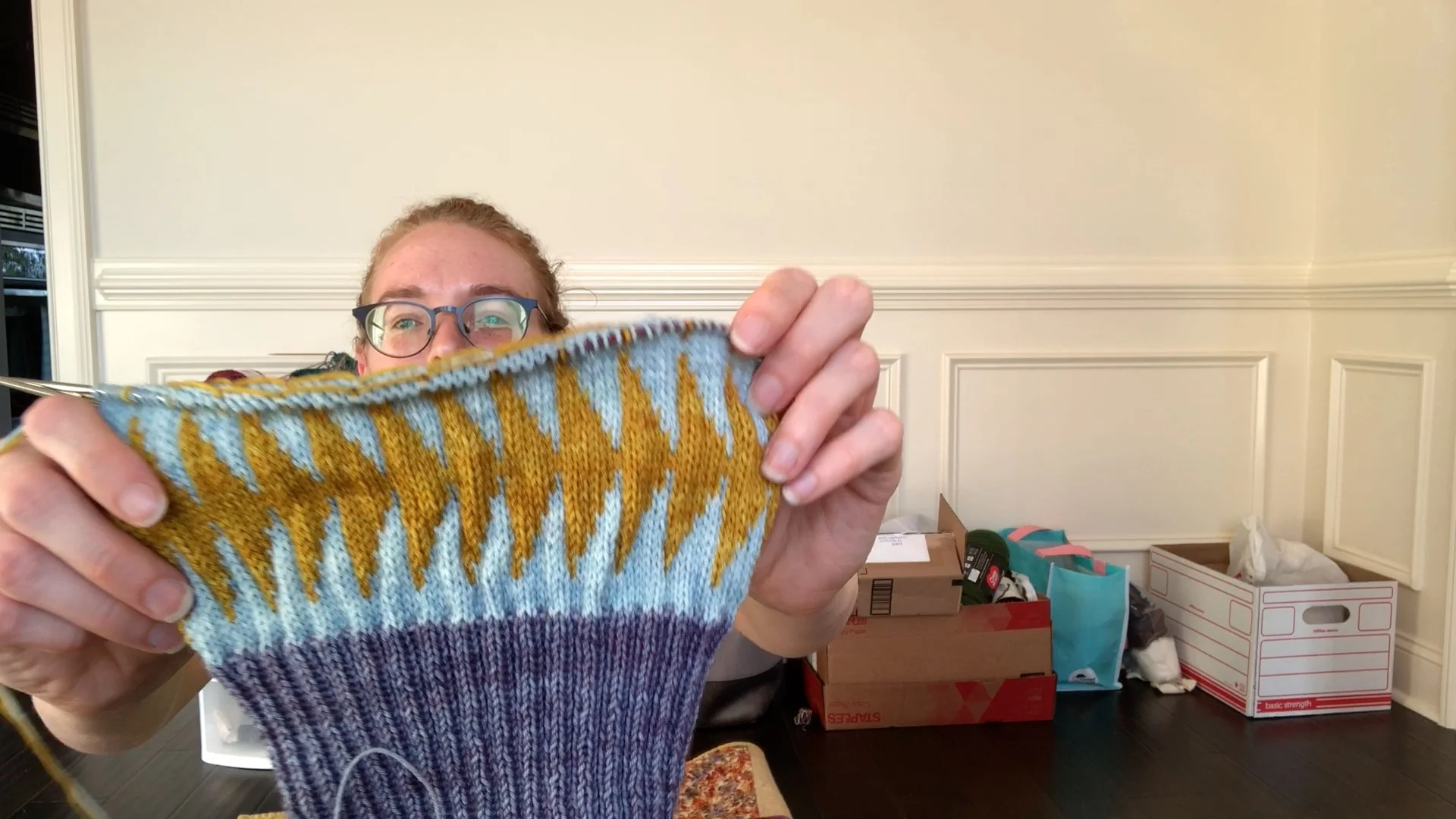Exceedingly Vanilla Socks - Free Pattern — The Purl Bug